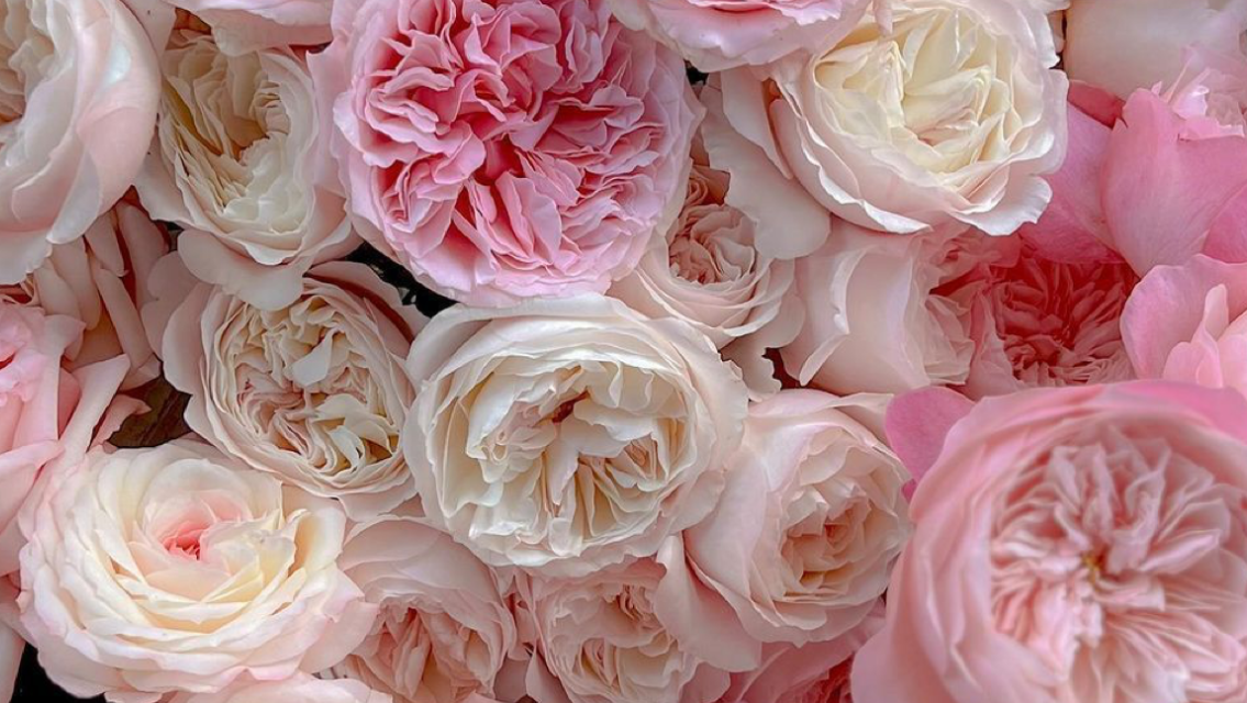 Welcome! Living with Inner Grace Introductory Blog | Learn our "Why" - Inner Grace